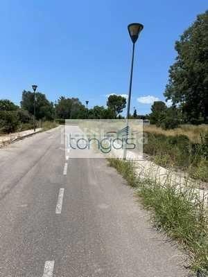 Foto f30094d3-4171-4aeb-8c75-f4202b19e235. Terreny residencial a Xàtiva