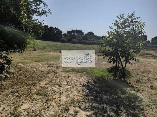 Foto a007551b-2450-49df-bdb7-0ab57e2464f2. Finca rústica a Xàtiva