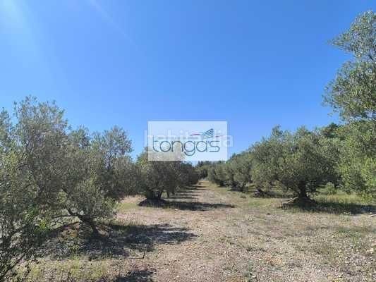 Foto b48dd945-aaf8-47e5-957a-1de70b9347cc. Casa  de campo en finca rustica en Chella