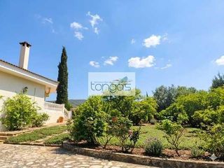 Chalet in Xàtiva. Espacioso y elegante chalet en bixquert