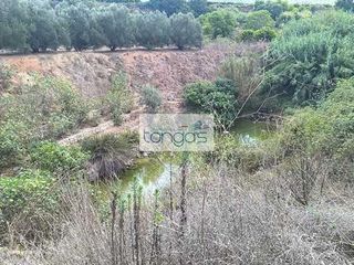 Finca rústica a Vallés