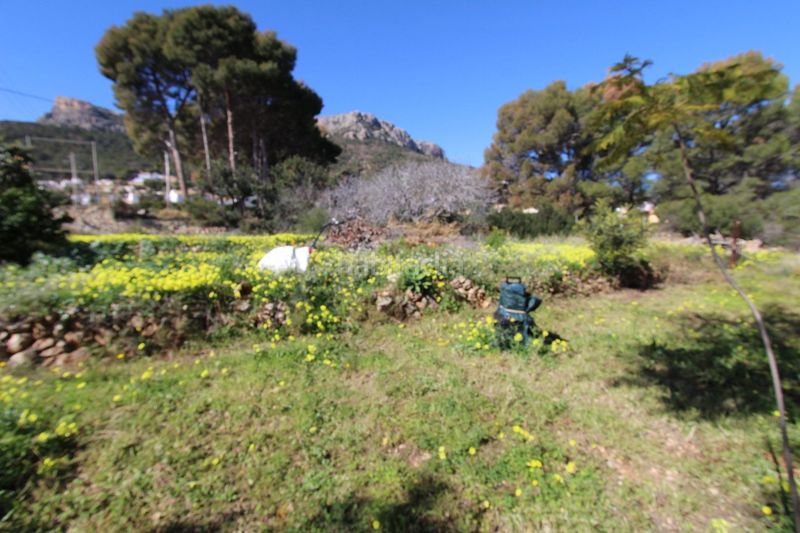 Foto ab708c01-34f3-4d70-9b9e-f2da925d195d. Finca rústica a Benicolada - Las Adelfas Calp