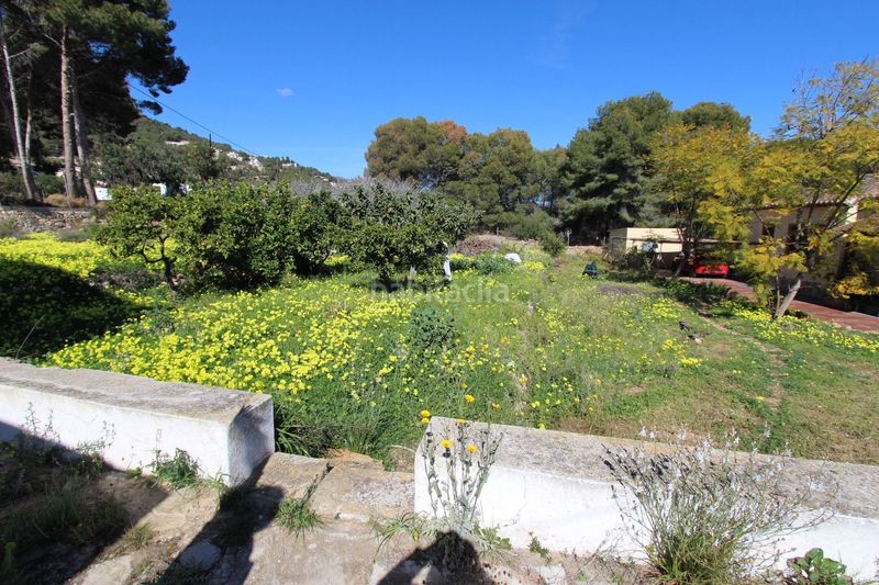 Foto be0d0ede-8e98-4cac-8d93-72bcda667356. Finca rústica a Benicolada - Las Adelfas Calp
