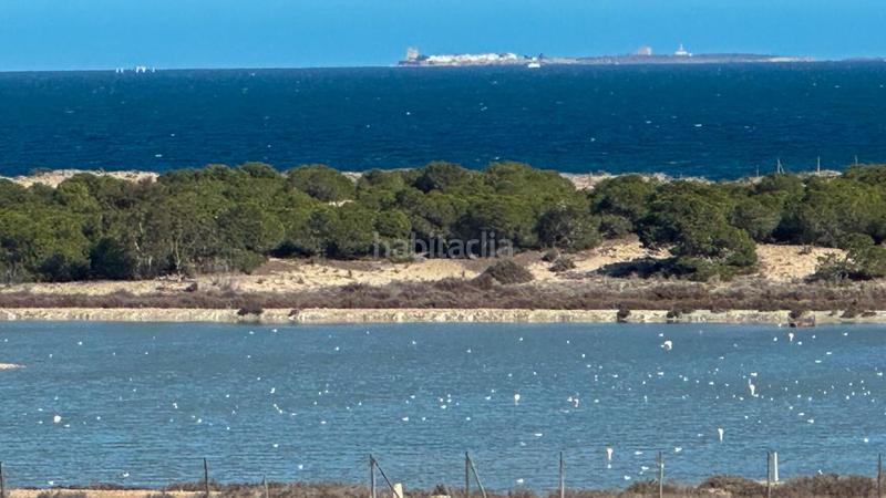 Foto 59f0e900-ddc9-4bf3-afca-c6c0f47366ef. Maison avec parking piscine dans La Marina Elche / Elx
