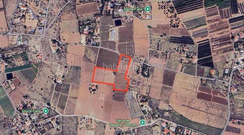 Foto 0bfaddc2-49f8-49fa-ba4a-c1f38e1a7826. Terreny residencial a Valverde Elche / Elx