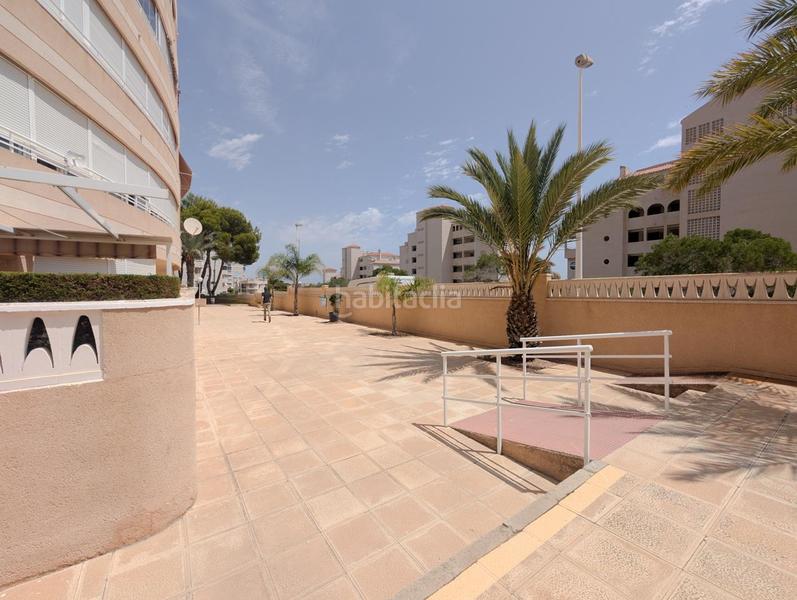 Foto 787ffe78-9a5b-4624-aad4-de97bd672db2. Pis amb calefacció aparcament piscina a Los Arenales del Sol Elche / Elx