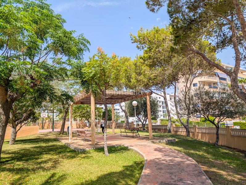 Foto 8253a30f-cdc6-4422-8737-94cca5b57d42. Piso en Los Arenales del Sol Elche / Elx