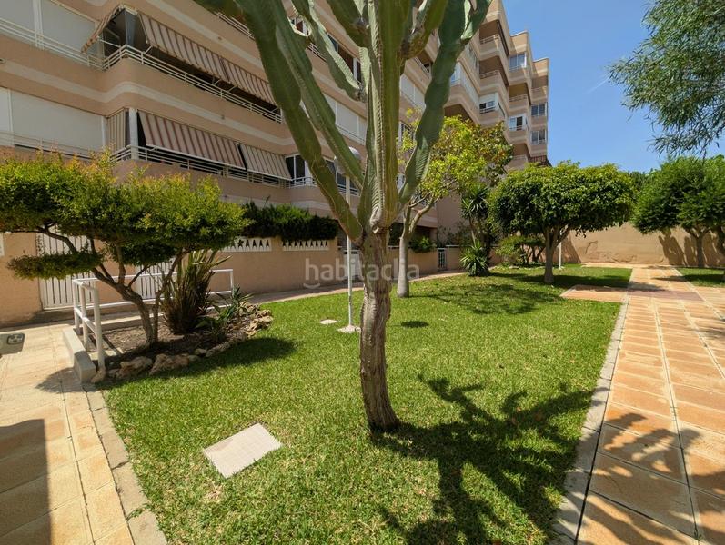 Foto c7050972-2340-47b2-8111-24e8cf7c1df5. Piso en Los Arenales del Sol Elche / Elx
