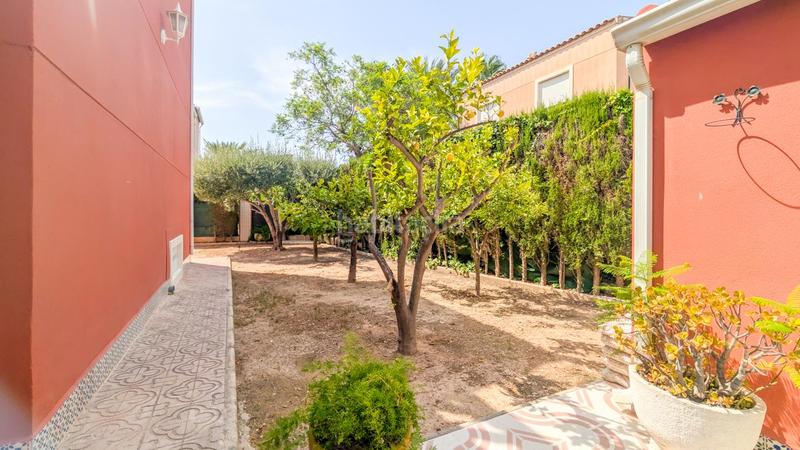 Foto 49ee9b6b-1998-4089-9cf9-6d74205b13cb. Casa amb piscina a Valverde Elche / Elx