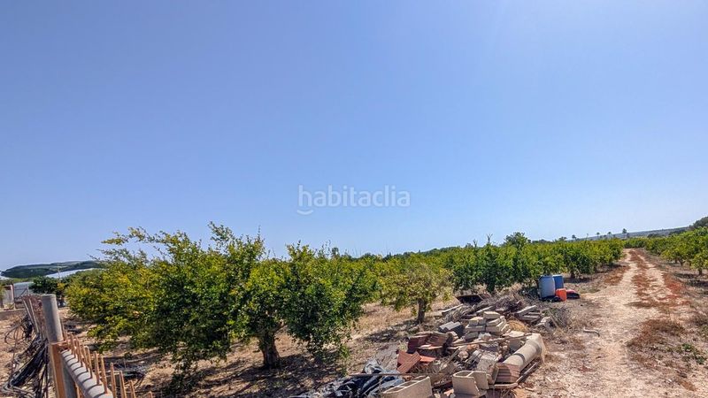 Foto 02c30f34-b50a-4722-bfab-a1e52b1755c8. Casa amb piscina a Valverde Elche / Elx