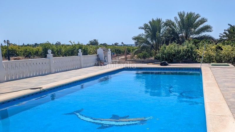 Foto 0c231891-1775-47b7-b9b2-9b11ce1402eb. Casa amb piscina a Valverde Elche / Elx