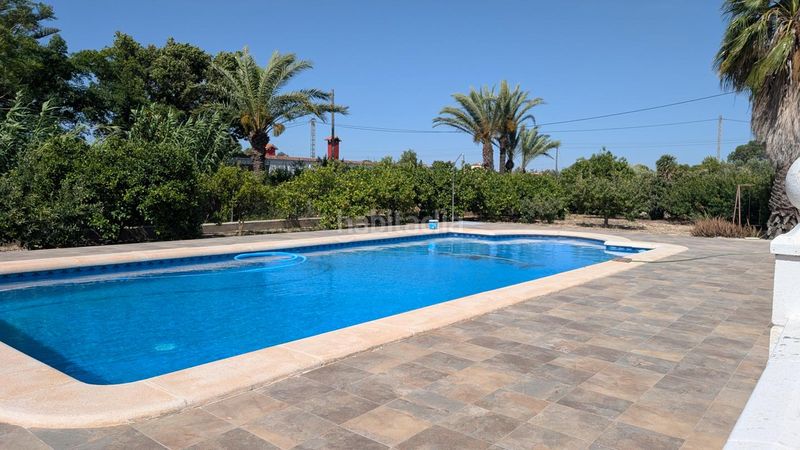 Foto 1c795568-6ff7-4aa3-85f8-2f76a53470aa. Casa amb piscina a Valverde Elche / Elx