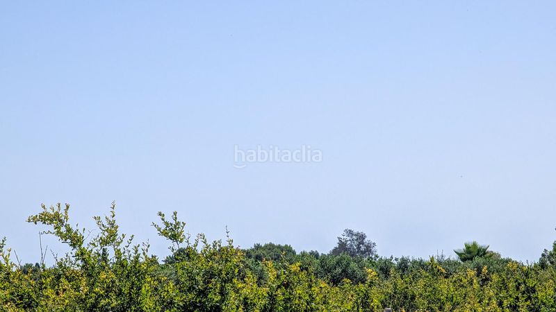 Foto 2231bb5f-210d-4599-be69-8a677a9e0cdc. Casa amb piscina a Valverde Elche / Elx
