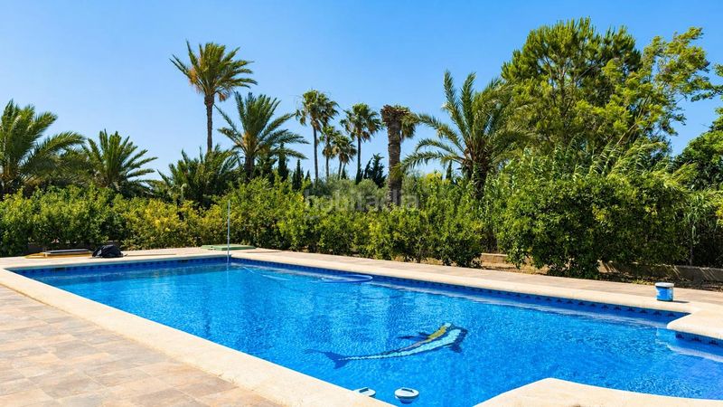 Foto 546cf290-0741-4661-9099-5249e4c578fe. Casa amb piscina a Valverde Elche / Elx