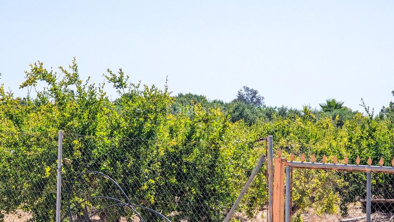 Foto 9621c349-45be-40d1-9bc6-2625014e0e91. Casa amb piscina a Valverde Elche / Elx