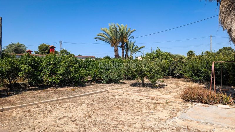 Foto c14b1cf5-2b67-4ec6-8efa-21fe70315208. Casa amb piscina a Valverde Elche / Elx