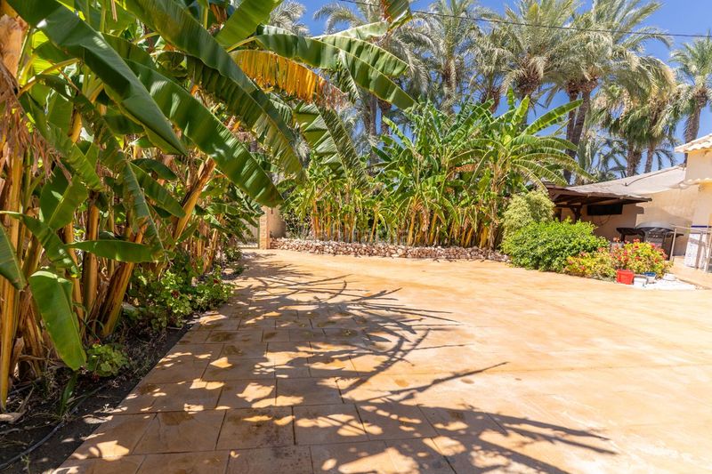 Foto b6021242-6457-4b79-9b3c-e5b5d94e7843. Casa amb aparcament piscina a La Marina Elche / Elx