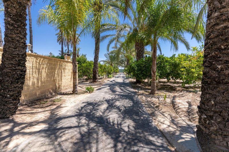 Foto fe14742d-8c90-4266-8345-ee29ad967acd. Casa amb aparcament piscina a La Marina Elche / Elx