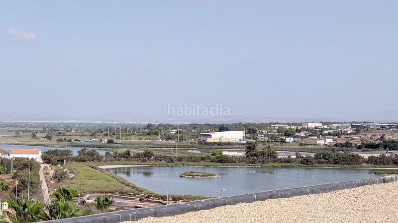 Foto 12abbfa5-42d9-4bed-a692-08b3f7d8cc43. Pis a Gran Playa Santa Pola