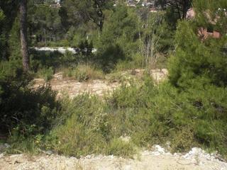Residential Plot in Castellnou-Can Mir-Can Solà