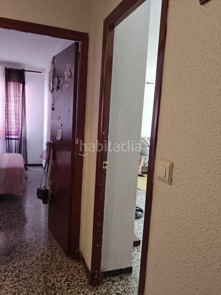 Foto 460b3aa3-cd17-44fb-b8c2-4b1f02ffdc25. Pis a El Toscar Elche / Elx