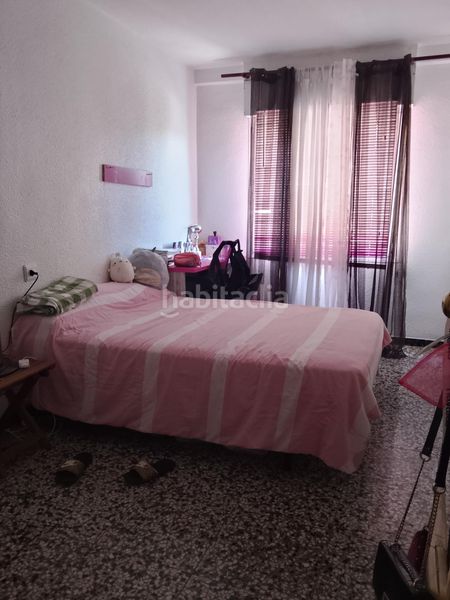 Foto e779355d-7d73-4aad-9327-0a86fde25b12. Pis a El Toscar Elche / Elx