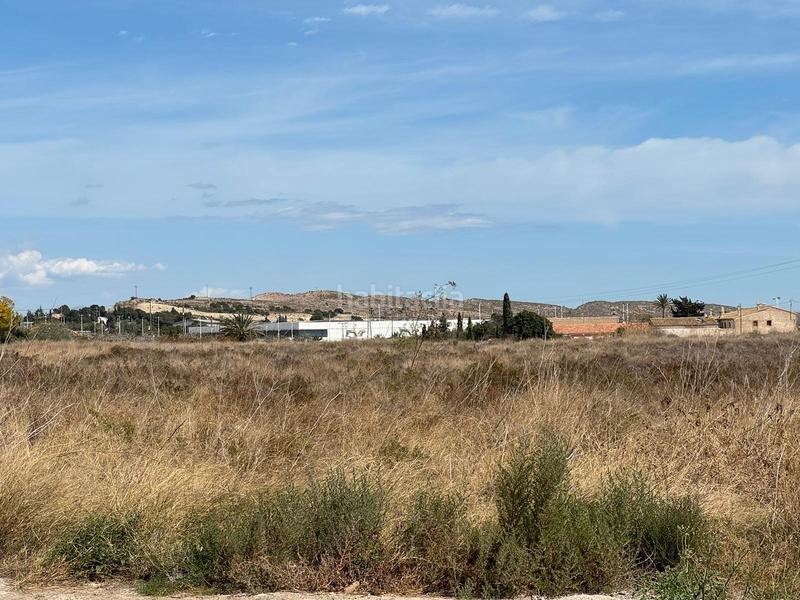 Foto 25a27a64-4c6f-4132-9a1c-dd88c586a945. Terreno residenziale in Torrellano Elche / Elx