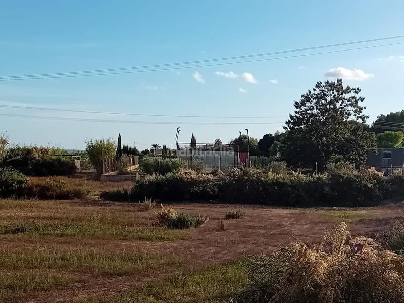 Foto 0ad49a7c-d58d-4fa4-a7e4-0f5659b16f26. Propriété dans La Algoda - Matola - Llano de San José Elche / Elx