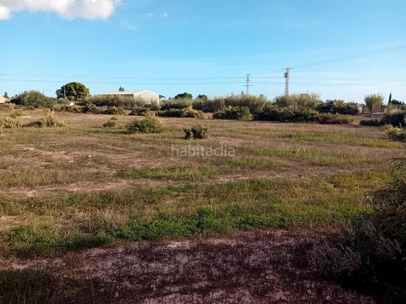 Foto 26f4ca93-d082-453f-833e-210b9aac5181. Propriété dans La Algoda - Matola - Llano de San José Elche / Elx