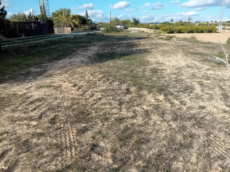 Foto 4cf62162-0ceb-438b-948f-4dc4c90c7953. Propriété dans La Algoda - Matola - Llano de San José Elche / Elx