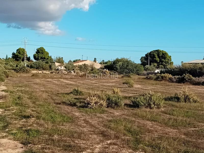 Foto 900ed314-6f8c-4e46-9ce6-fe971f2f67f9. Propriété dans La Algoda - Matola - Llano de San José Elche / Elx