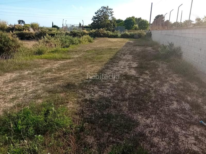 Foto a2630f2f-42c0-438f-be09-a1dcfcecc0cc. Propriété dans La Algoda - Matola - Llano de San José Elche / Elx