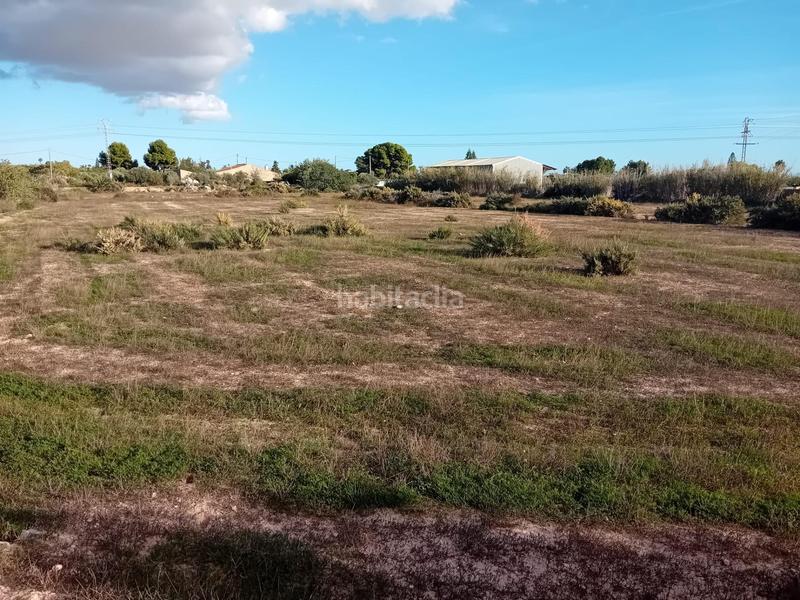 Foto c40486d4-5daf-404e-9d72-f15d9ad34314. Propriété dans La Algoda - Matola - Llano de San José Elche / Elx