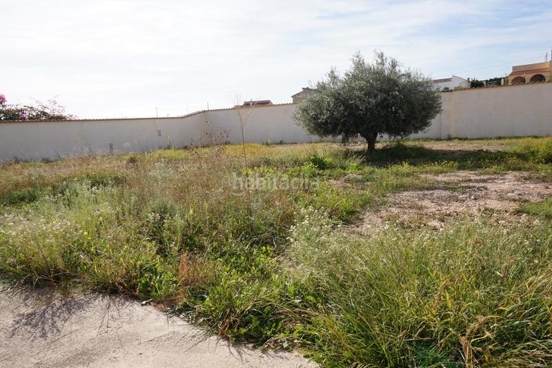 Foto ece0f62d-73b2-4d07-a329-05f46cab3758. Alquiler chalet alquiler acogedor chalet con piscina!! en Albatera