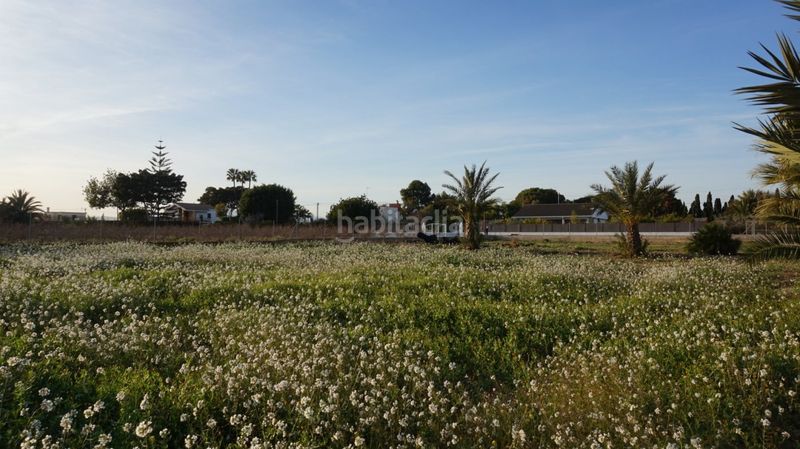 Foto 10d637bd-c4cc-456b-b1f0-055971adf5f6. Terreny residencial a Las Bayas Elche / Elx
