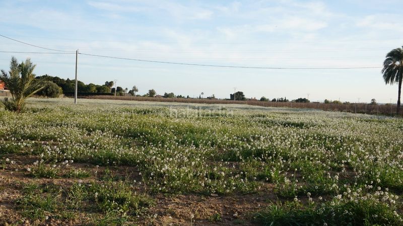 Foto 8887c474-5fc8-4535-b0fc-ebd8198db206. Terreny residencial a Las Bayas Elche / Elx