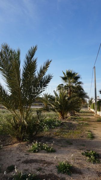 Foto 894072ff-1e74-4329-ab7b-b9078fe2a265. Terreny residencial a Las Bayas Elche / Elx