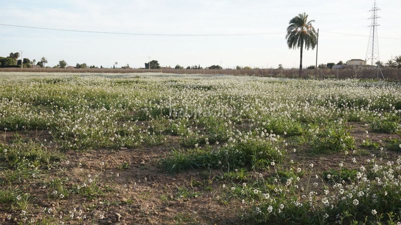 Foto b6e909eb-a983-428e-ad7a-faf9075c86f0. Terreny residencial a Las Bayas Elche / Elx