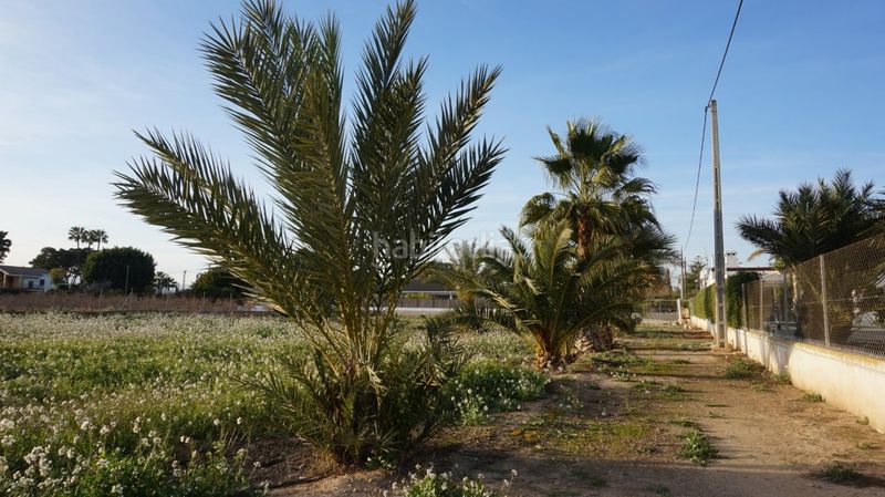 Foto d55ea7ce-e1cc-4302-8293-6b49212706a8. Terreny residencial a Las Bayas Elche / Elx