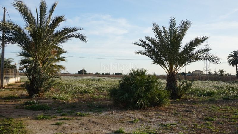 Foto eef8f791-c896-43bf-a7d8-4db3be5a95f7. Terreny residencial a Las Bayas Elche / Elx