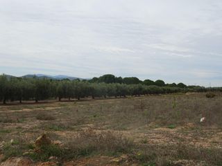 Terreny residencial a Beneixama