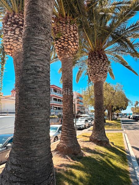 Foto db4115bb-837f-4a37-b407-fe4f52f2fd1a. Alquiler piso ?? amplio apartamento con terraza y vistas al mar – regueral, puerto en Cambrils