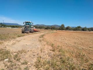 Finca rústica a Montbrió del Camp. Terreno para uso agricola