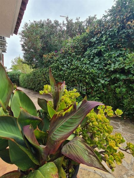 Foto f61b03ef-055c-4c8f-a2b5-41a2ae081a1b. Rent semi detached house with heating in mar Cambrils Cambrils