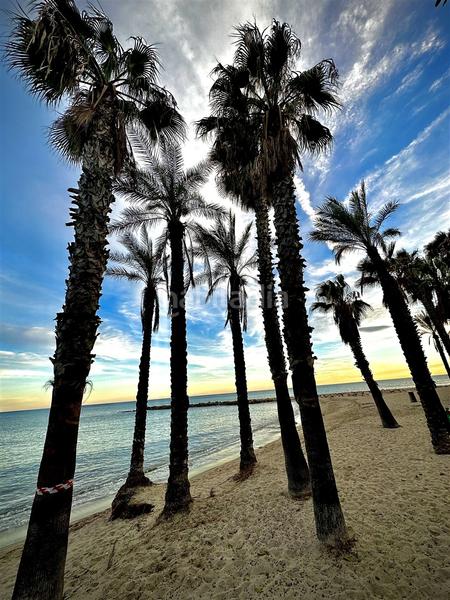 Foto b03980e3-5a67-4025-b9f0-a8b4868f7128. Miete appartement mit heizung parking in Regueral - Prat d'en Forés Cambrils