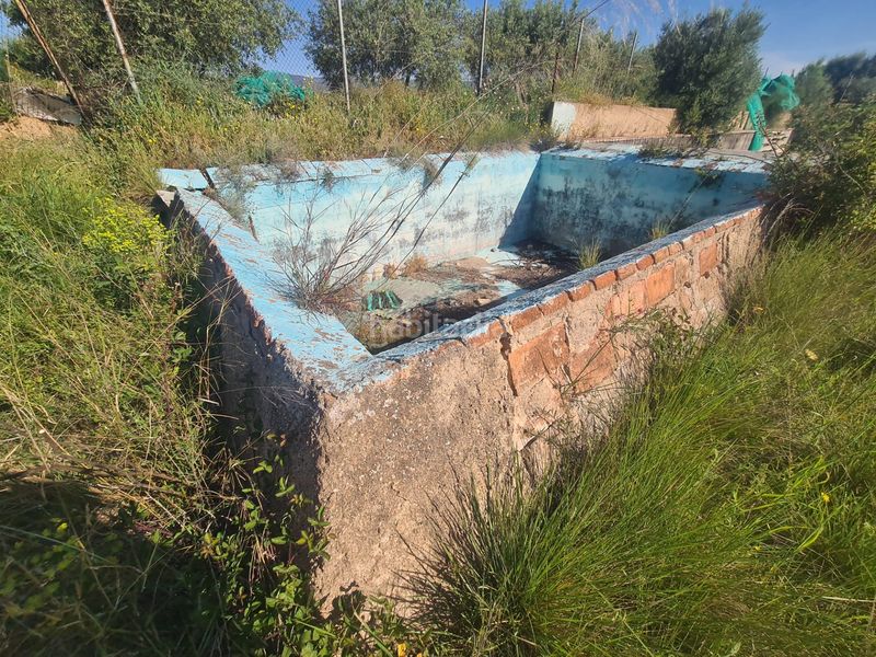 Foto 399890a1-bee2-4602-ab90-efbe4bdcf9cf. Finca rústica a Riudoms