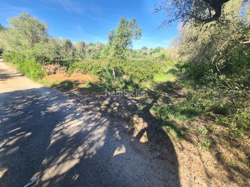 Foto 6f2d8b79-faf2-436a-983e-ad090552bc22. Finca rústica a Riudoms