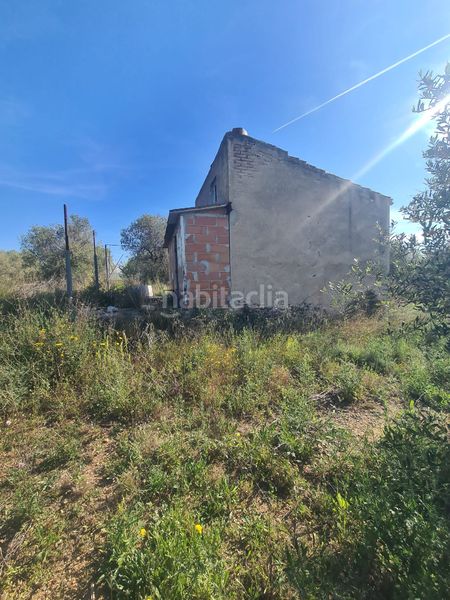 Foto 7a4e99f7-5bbc-4bdb-96dd-753c98f6e18a. Finca rústica a Riudoms