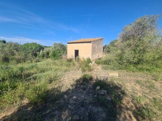 Finca rústica en Riudoms