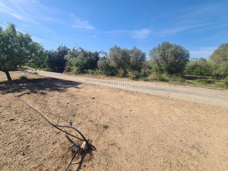 Foto a6fad4c7-4dfa-4cef-ab17-b773bedfe5b6. Finca rústica a Riudoms